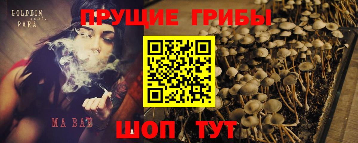 Псилоцибиновые грибы Psilocybine cubensis  Вход с VPN  Зеленокумск 