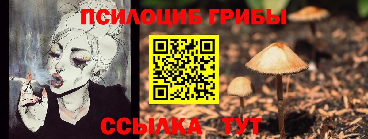 Псилоцибиновые грибы ЛСД Зеленокумск